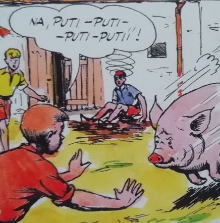 Stopa č. 22